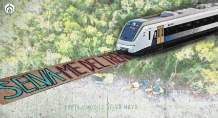 Tren Maya: ¿Quién es el juez que está frenando la obra?