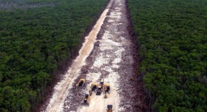 Tren Maya: Mara Lezama promete recorrido por el Tramo 5 Sur con ambientalistas