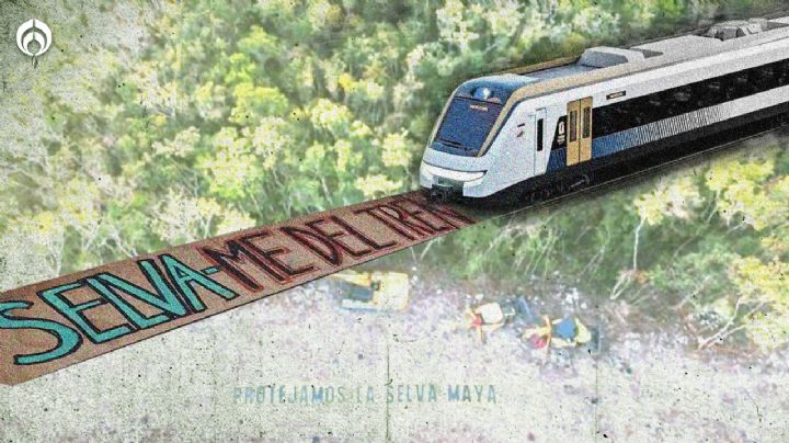 Tren Maya: ¿Quién es el juez que está frenando la obra?