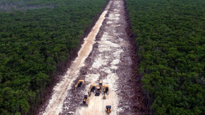 Tren Maya: Mara Lezama promete recorrido por el Tramo 5 Sur con ambientalistas