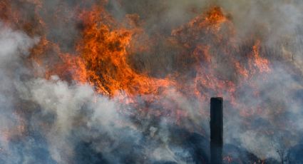 Incendios forestales: Durango podría perder 35 mil hectáreas por el fuego