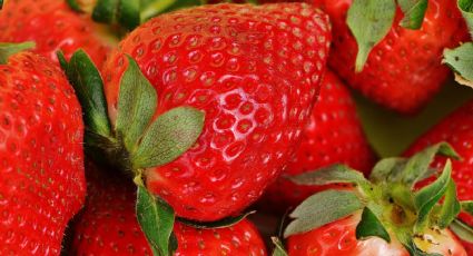 Fresas mexicanas 'encienden' alerta: EU indaga brote de hepatitis