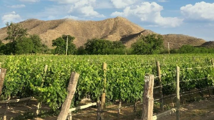 Casa Madero: conflicto por el agua amenaza la cosecha de este año