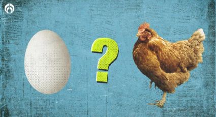 ¿Qué fue primero: el huevo o la gallina? Esto dice estudio