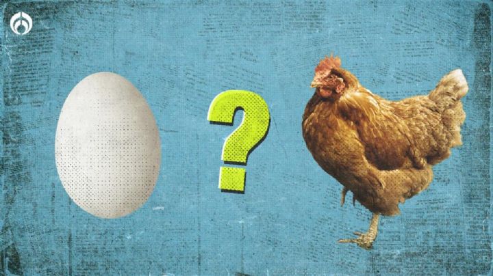 ¿Qué fue primero: el huevo o la gallina? Esto dice estudio