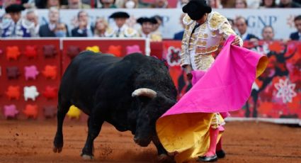 Corridas de toros: 3 de cada 5 mexicanos le dan una "estocada" a la tauromaquia