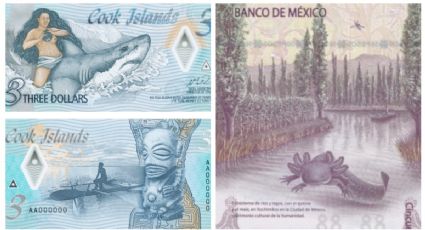 Estos son los billetes más bonitos del mundo… ¿está el peso mexicano?