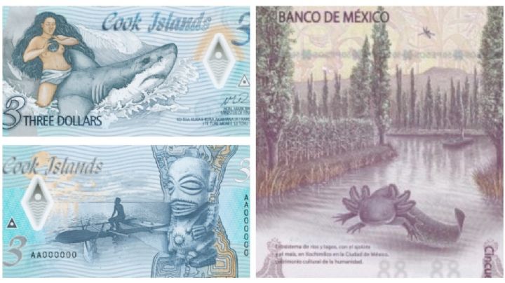 Estos son los billetes más bonitos del mundo… ¿está el peso mexicano?