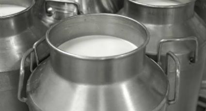 Productores exigen aumento a 15 pesos el litro de leche