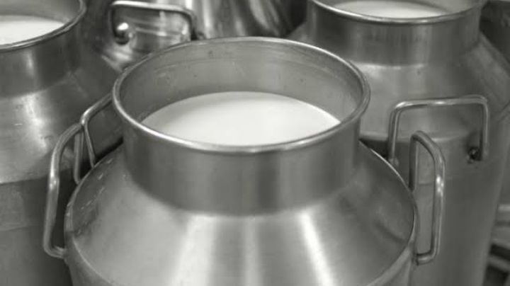 Productores exigen aumento a 15 pesos el litro de leche