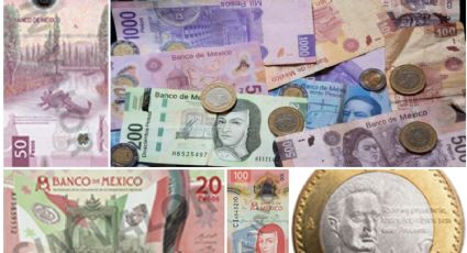 ¿Buscas dinero extra? 5 billetes y monedas que te pueden volver ‘rico’