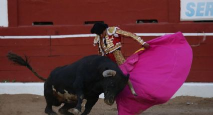 Corridas de toros: Corte determina que no pueden ser patrimonio cultural