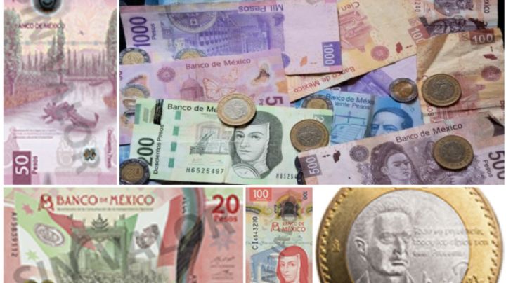 ¿Buscas dinero extra? 5 billetes y monedas que te pueden volver ‘rico’