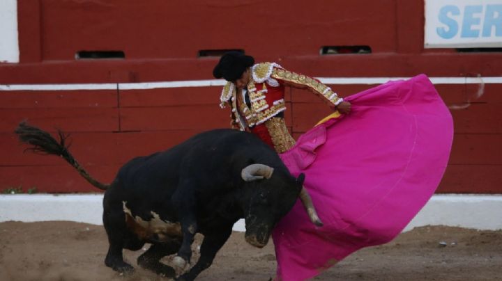 Corridas de toros: Corte determina que no pueden ser patrimonio cultural