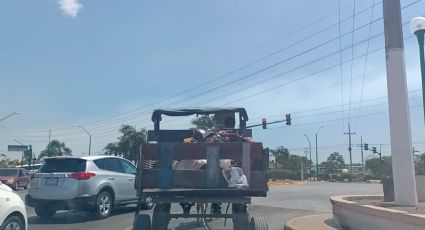 ¡No más maltrato animal! Carretoneros ya no podrán utilizar caballos en Madero