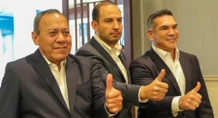 ¿Cuál alianza? PAN es el que carga con el PRI y PRD, reclama exsenadora