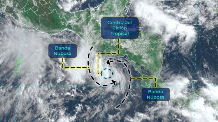 Le 'llueve' al Pacífico: llega la tormenta 'Celia' y habrá 'diluvios' en estos estados