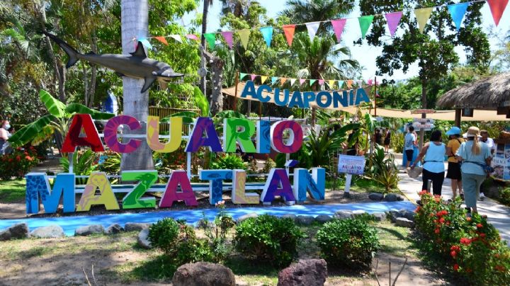 Estima Acuario Mazatlán recibir hasta 90 mil personas en verano 