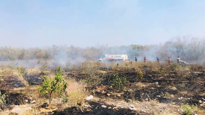 En aumento los incendios forestales en Tamaulipas ¿Cuántas son las áreas afectadas?