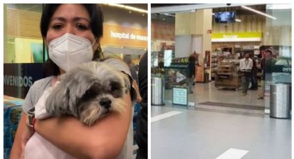 Denuncian supuesta negligencia contra perrita en Petco: "Le cortaron el ojo"