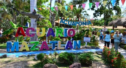 Acuario Mazatlán: Culpa Director a cuestiones políticas  de cierre