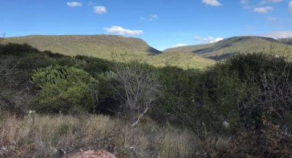 Municipio de Querétaro no expidió cambios de uso de suelo en Peña Colorada