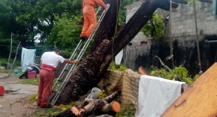 Temporada de Huracanes: Afectaciones y pronósticos para los próximos días en la zona sur de Tamaulipas