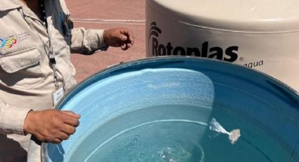 Sin dengue: Región Laguna de Durango sin casos durante este año