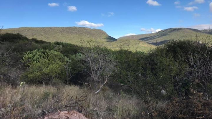 Municipio de Querétaro no expidió cambios de uso de suelo en Peña Colorada