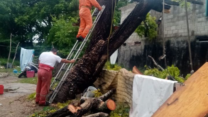 Temporada de Huracanes: Afectaciones y pronósticos para los próximos días en la zona sur de Tamaulipas