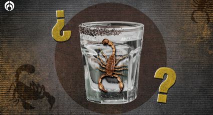 ¿Qué pasa si te tomas un mezcal con alacrán?