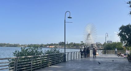 La Laguna del Carpintero: ¿Pueden convivir los cocodrilos con manatíes?