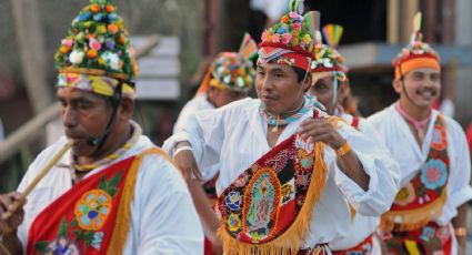 ¡Ay Papantla, tus hijos vuelan!: Un baile lleno de cultura que supera al meme	