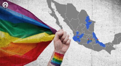 LGBT+: Estas entidades tienen más población de la diversidad de género