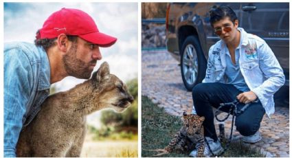 Tren Maya: Influencer señala a integrante de #SélvameDelTren por traficar animales