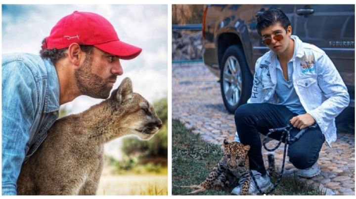 Tren Maya: Influencer señala a integrante de #SélvameDelTren por traficar animales