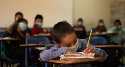 SEP: Diferencias entre grados escolares y fases de aprendizaje