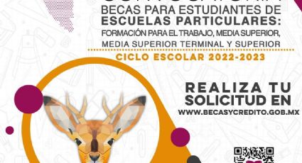 Lista la convocatoria de becas para escuelas particulares del ciclo escolar 2022-2023