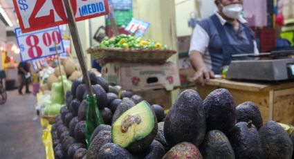 Inflación: ¿Por qué pagas por el aguacate mucho más de lo que gana el productor?