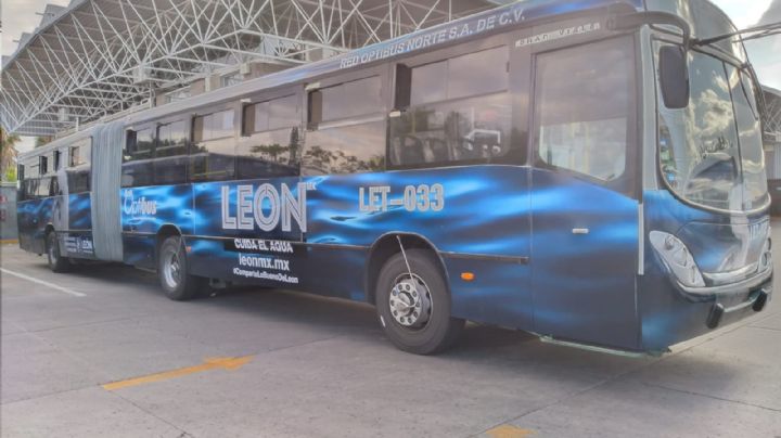 Promoción de museos de León en orugas de la ciudad