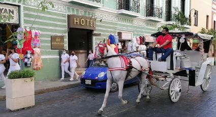 Calesas eléctricas: Un paso a la modernidad y en convivencia con lo tradicional