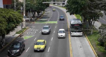 Carril confinado en 5 de Febrero duplicará velocidad del transporte público