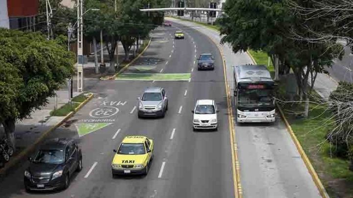 Carril confinado en 5 de Febrero duplicará velocidad del transporte público