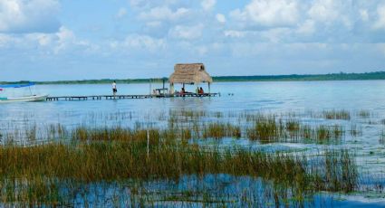 Elecciones en Quintana Roo 2022: ¿Quién ganó la votación en Bacalar?