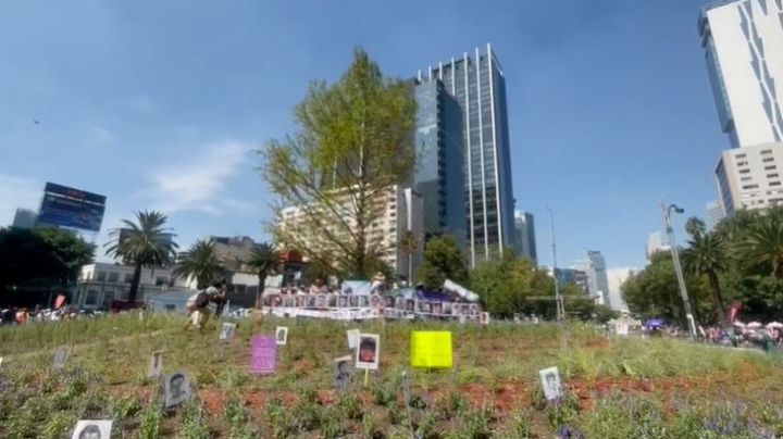 (VIDEO) ¡Nace la Glorieta del Ahuehuete! Y familiares de desaparecidos la renombran