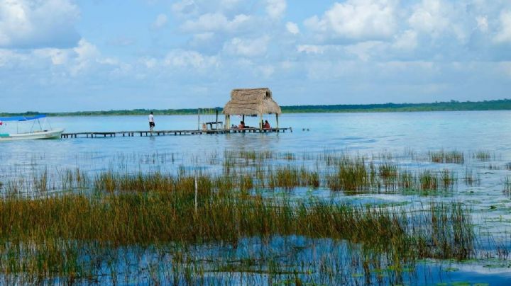 Elecciones en Quintana Roo 2022: ¿Quién ganó la votación en Bacalar?