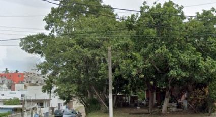 Habitantes de Tampico invaden áreas verdes ¿Qué hacer en esta situación?