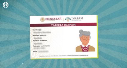 INAPAM: ¿Cómo hago la reposición de mi tarjeta?