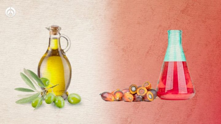 ¿Con cuáles aceites sí y con cuales NO debes de freír tu comida?