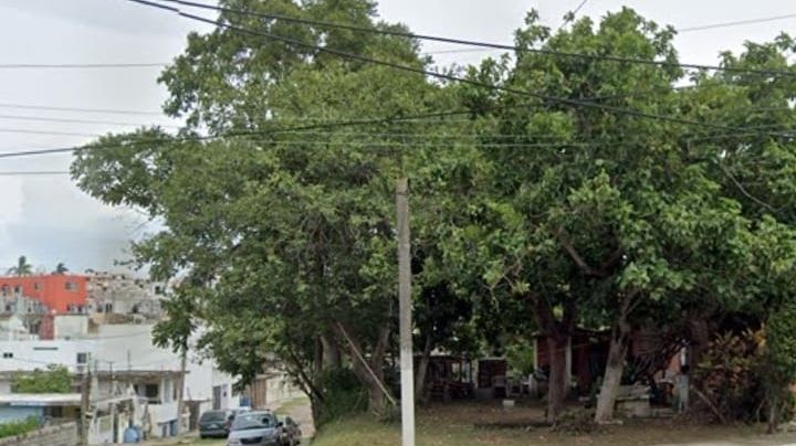 Habitantes de Tampico invaden áreas verdes ¿Qué hacer en esta situación?